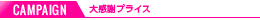 大感謝プライス